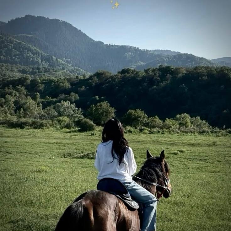 Поездка на лошади